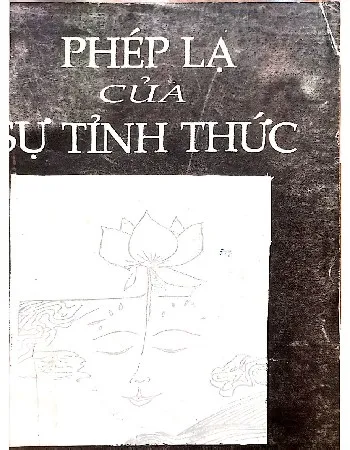 Ảnh bìa của Sách Phép lạ của sự tỉnh thức