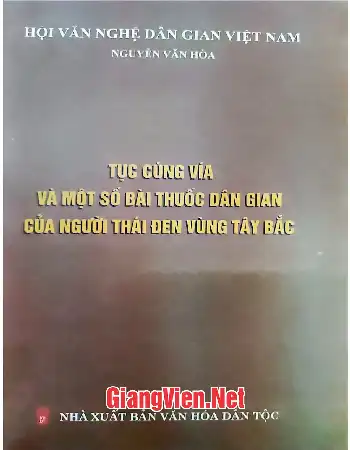 Ảnh bìa của Túc cúng vía và một số bài thuốc dân gian của người Thái đen vùng Tây Bắc