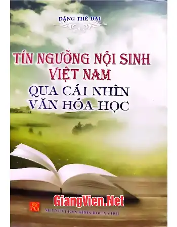 Ảnh bìa của Tín ngưỡng Nội sinh Việt Nam qua cái nhìn văn hóa