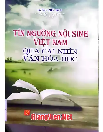 Ảnh bìa của Tín ngưỡng nội dung Việt Nam Việt Nam qua cái nhìn Văn hóa học