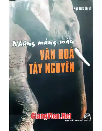 Ảnh bìa của Những mảng màu văn hóa Tây Nguyên