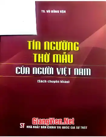 Ảnh bìa của Tín ngưỡng thờ Mẫu của người Việt Nam