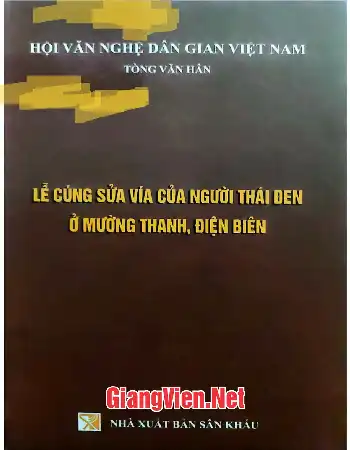 Ảnh bìa của Lễ cúng sửa vía của người Thái Đen ở Mường Thanh, Điện Biên