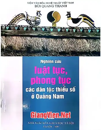 Ảnh bìa của Nghiên cứu luật tục, phong tục các dân tộc thiểu số ở Quảng Nam