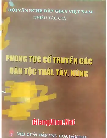 Ảnh bìa của Phong tục cổ truyền các dân tộc Thái, Tày, Nùng