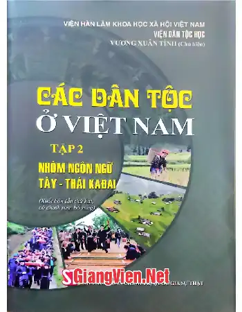 Ảnh bìa của Các dân tộc ở Việt Nam - Tập 2 nhóm ngôn ngữ Tày - Thái KaĐai