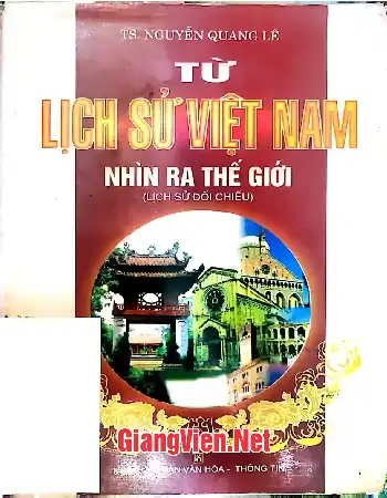 Ảnh bìa của Lịch sử Việt Nam nhìn ra thế giới