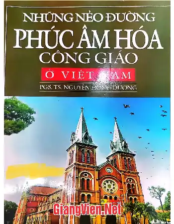 Ảnh bìa của Những nẻo đường phúc âm hóa Công giáo ở việt Nam