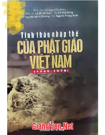 Ảnh bìa của Tinh thần nhập thế của Phật giáo Việt Nam 1845 - 1975