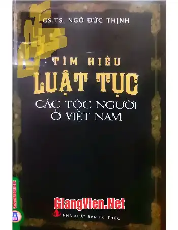 Ảnh bìa của Tìm hiểu luật tục các tộc người Việt Nam