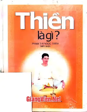 Ảnh bìa của Thiền là gì?