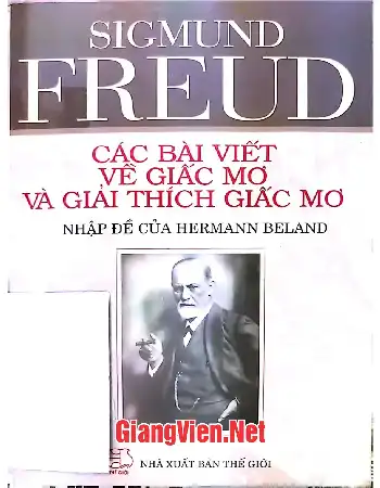 Ảnh bìa của Các bài viết về giấc mơ và giải thích giấc mơ, Nhập đề của Hermann Beland