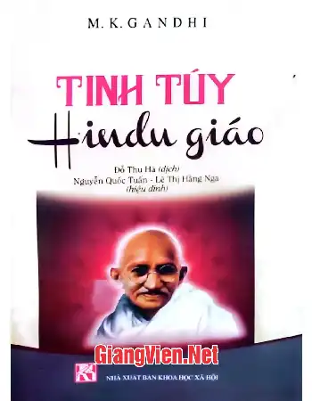 Ảnh bìa của Tinh túy Hindu giáo