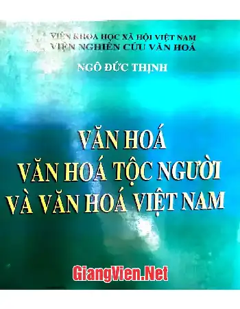 Ảnh bìa của Văn hóa tộc người và văn hóa Việt Nam