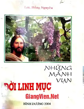 Ảnh bìa của Những mảnh vụn đời linh mục