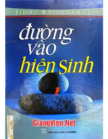 Ảnh bìa của Đường vào hiện sinh