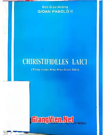 Ảnh bìa của Tông huấn Ki tô hữu giáo dân