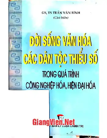 Ảnh bìa của Đời sống văn hóa các dân tộc thiểu số trong qúa trình công nghiệp hóa, hiện đại hóa