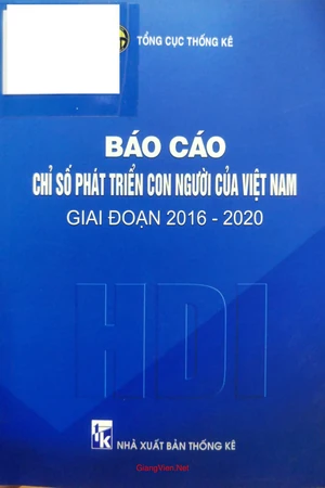 Ảnh bìa của Báo cáo chỉ số phát triển con người của Việt Nam giai đoạn 2016 đến 2020