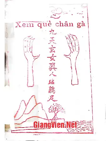 Xem quẻ chân gà