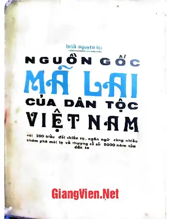 Nguồn gốc Mã Lai của dân tộc Việt Nam