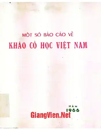 Một số báo cáo về khảo cổ học Việt Nam