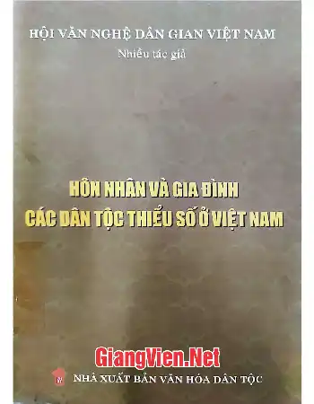 Hôn nhân và gia đình các dân tộc thiểu số ở Việt Nam