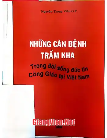 Những căn bệnh trầm kha trong đời sống đức tin Công giáo tại Việt Nam