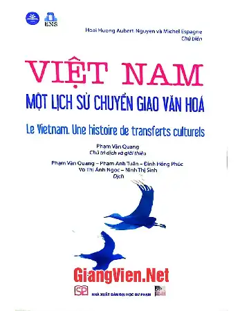 Việt Nam một lịch sử chuyển giao văn hóa