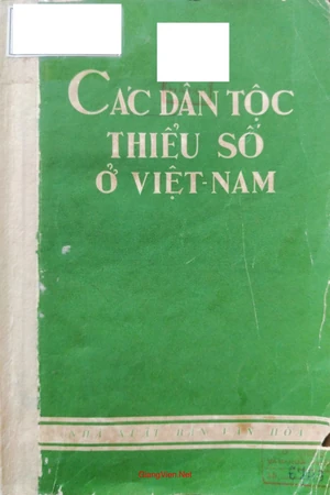 Các dân tộc thiểu số ở Việt Nam