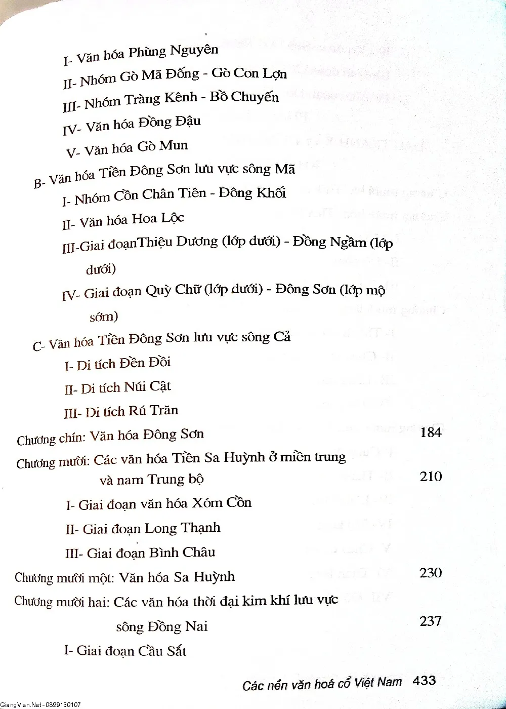 Mục lục chi tiết trang 3 sách Các nền văn hóa cổ Việt Nam (từ thời nguyên đến kỷ 19)
