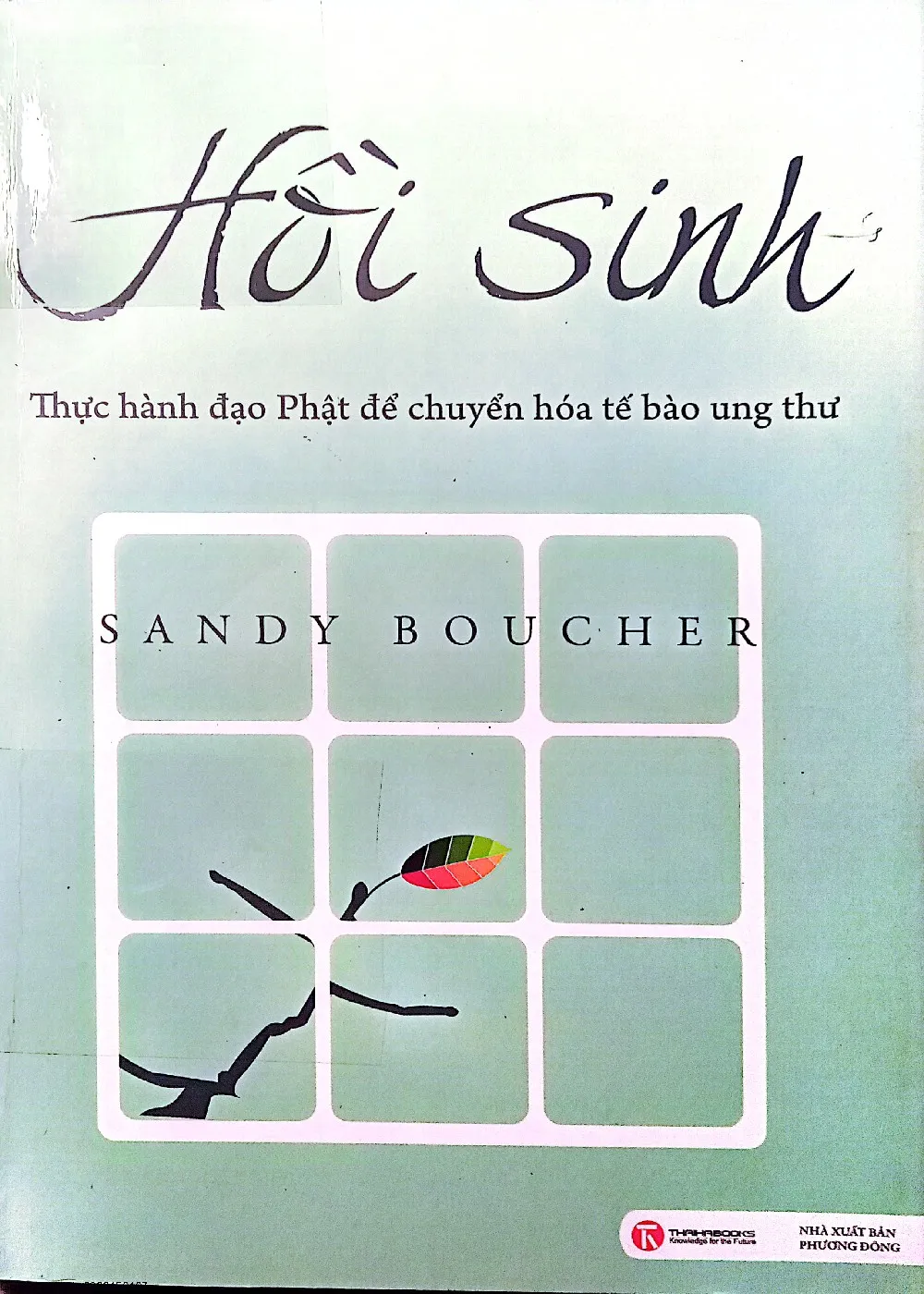 Ảnh bìa của Sách Hồi sinh thực hành đạo Phật để chuyển hóa tế bào ung thư