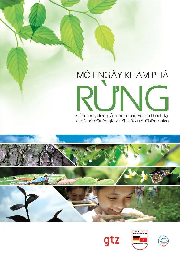 Ảnh bìa của Sách Một ngày khám phá rừng