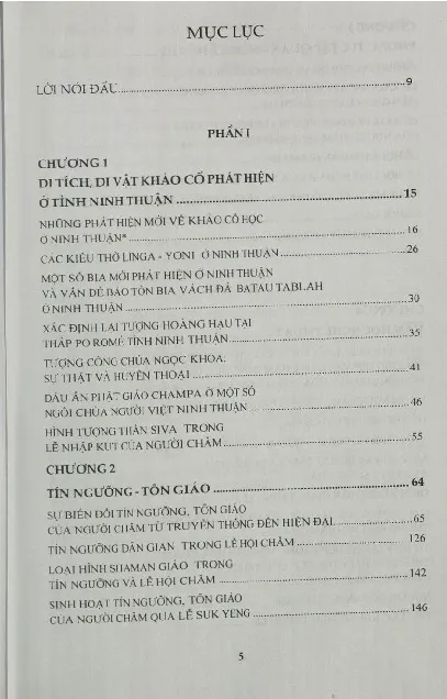 Trang bìa chính thức sách Một số vấn đề văn hóa Champa