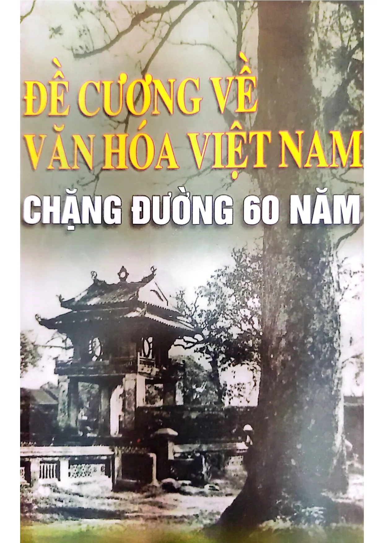 Ảnh bìa của Đề cương về chặng đường văn hóa 60 năm
