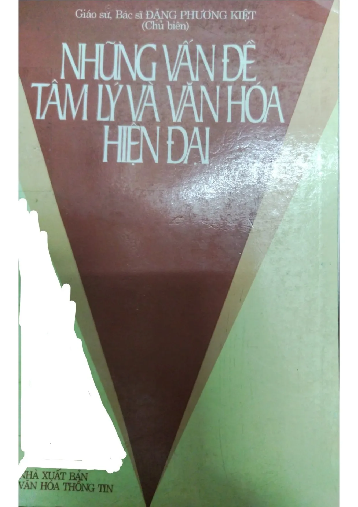 Ảnh bìa của Những vấn đề về tâm lý và văn hóa hiện đại