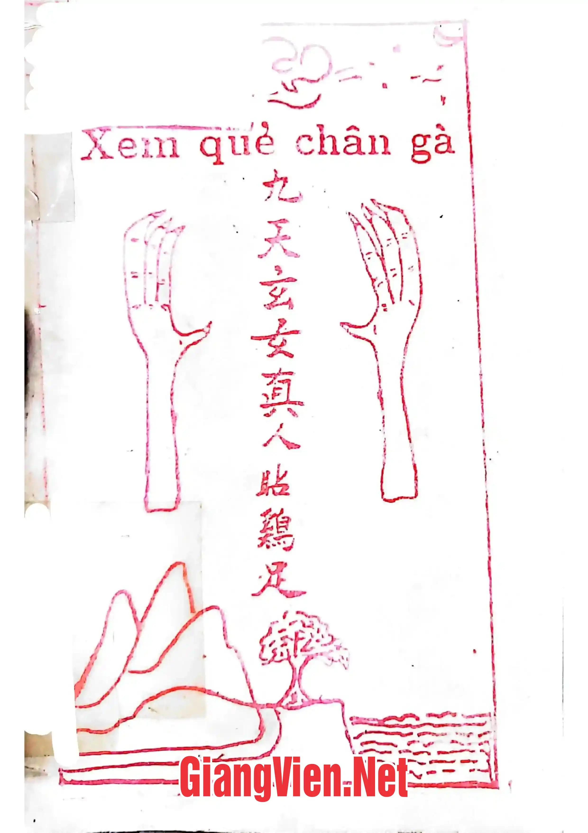 Ảnh bìa của Xem quẻ chân gà
