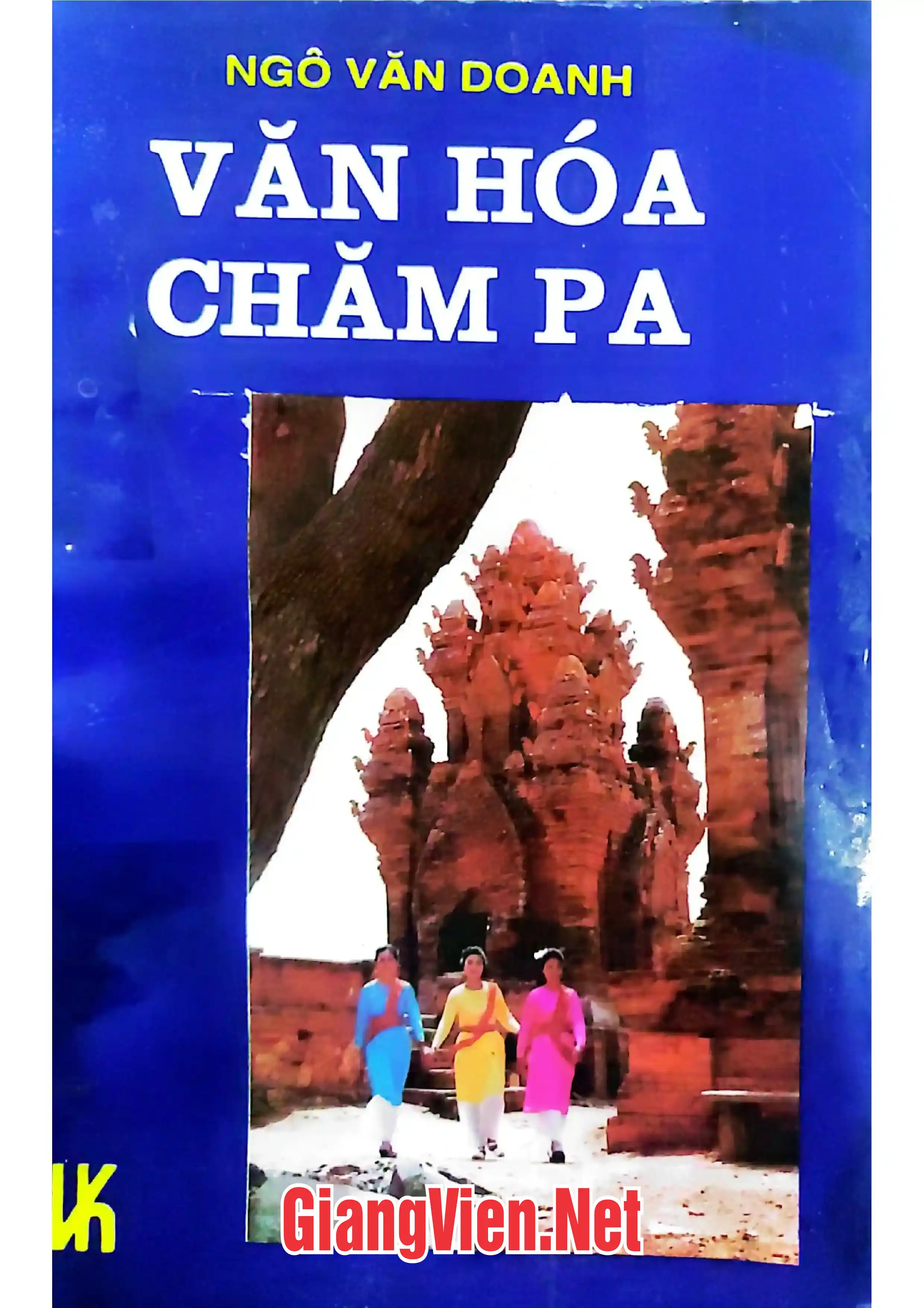 Ảnh bìa của Văn hóa Chăm Pa
