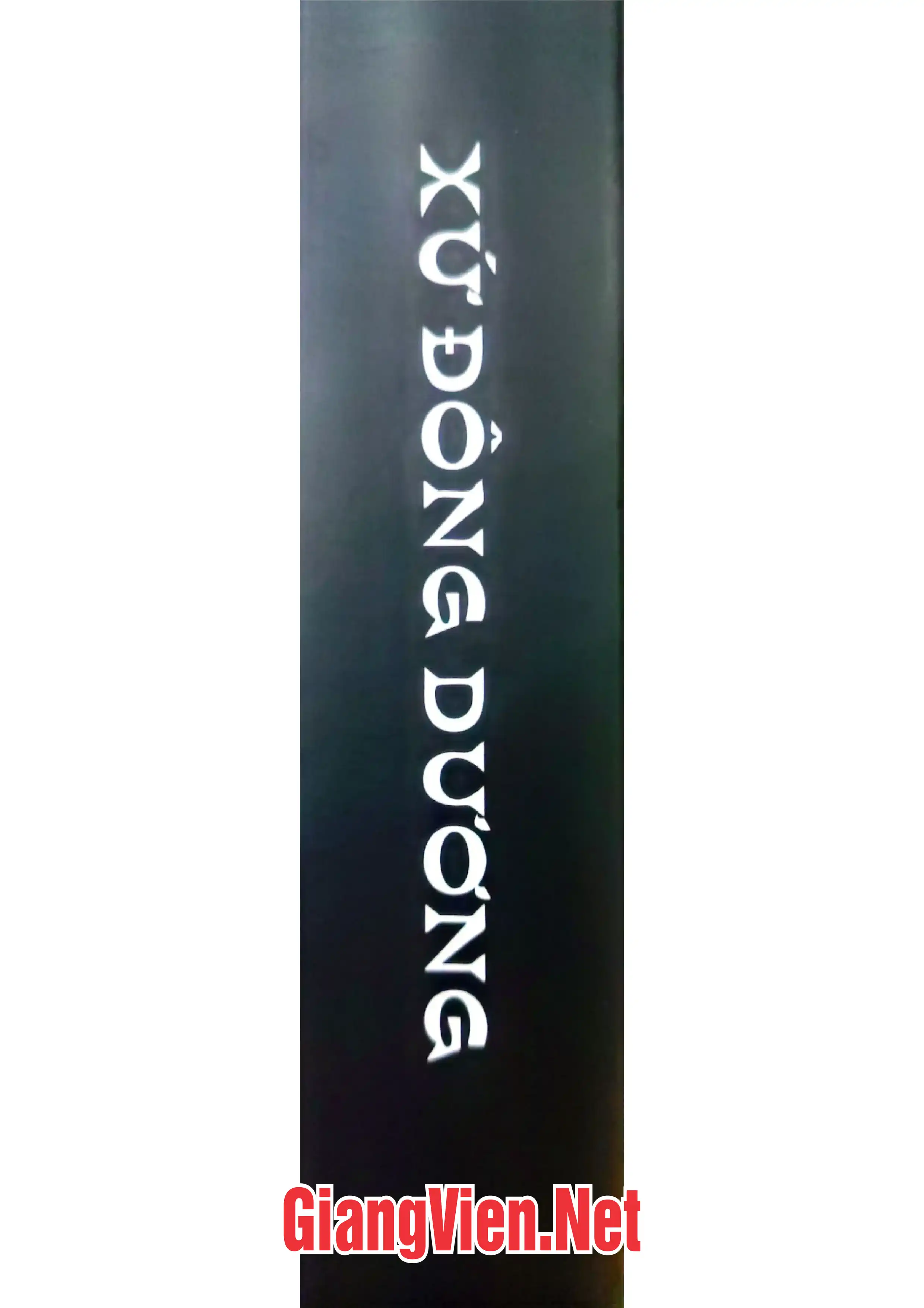 Ảnh bìa của Xứ Đông Dương