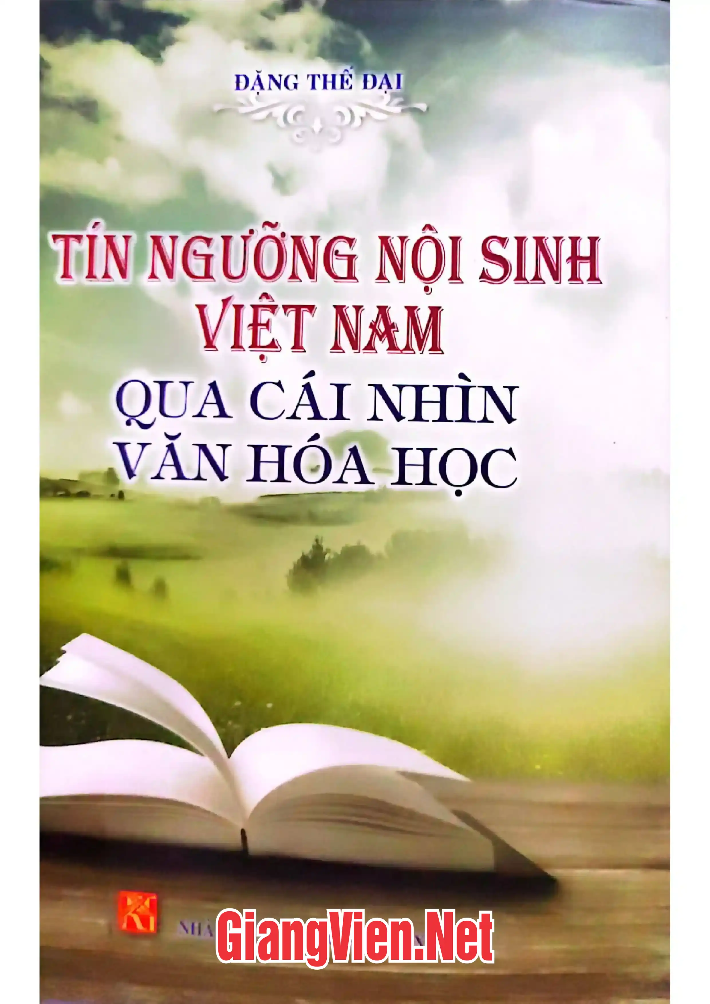 Ảnh bìa của Tín ngưỡng Nội sinh Việt Nam qua cái nhìn văn hóa