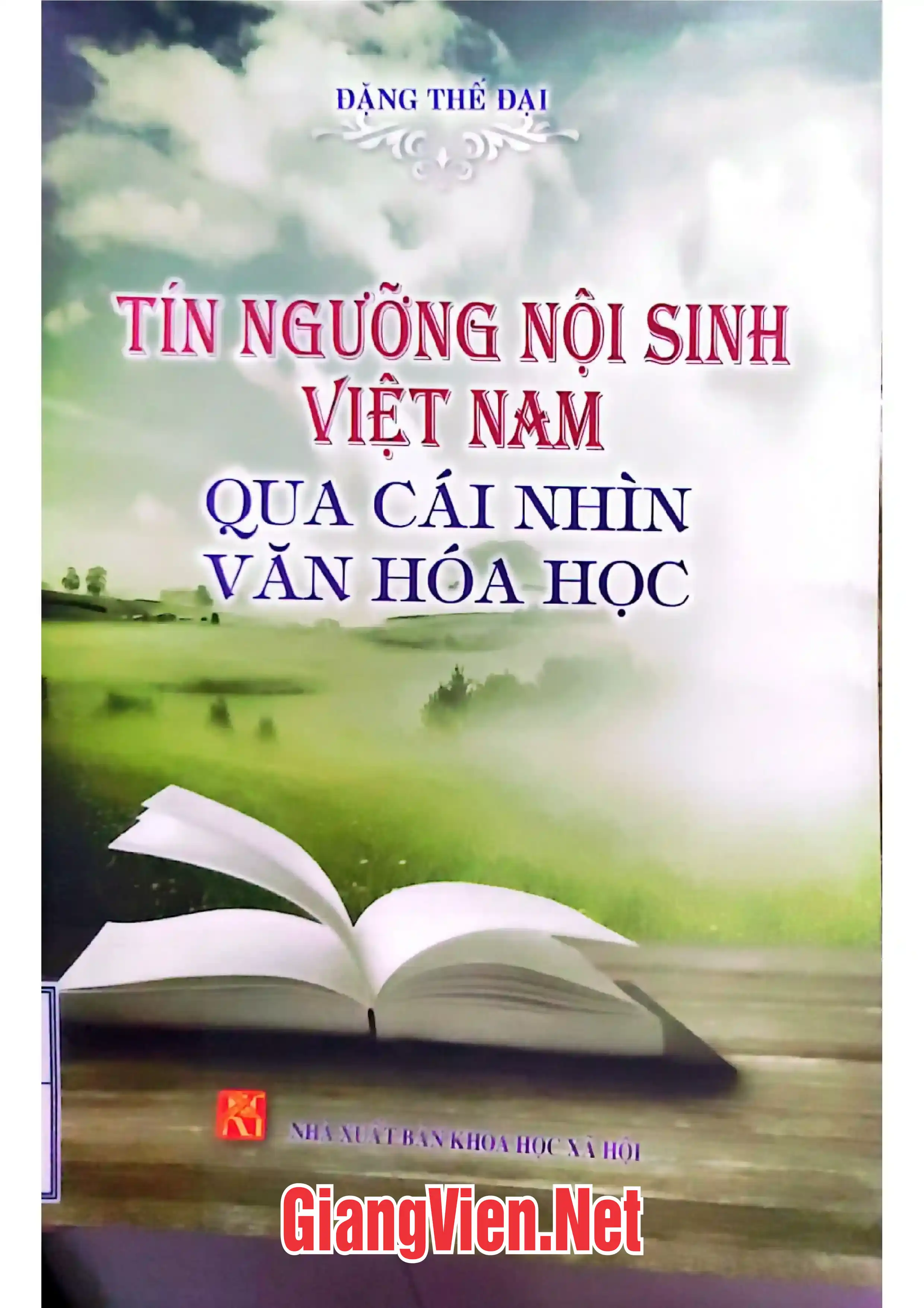 Ảnh bìa của Tín ngưỡng nội dung Việt Nam Việt Nam qua cái nhìn Văn hóa học
