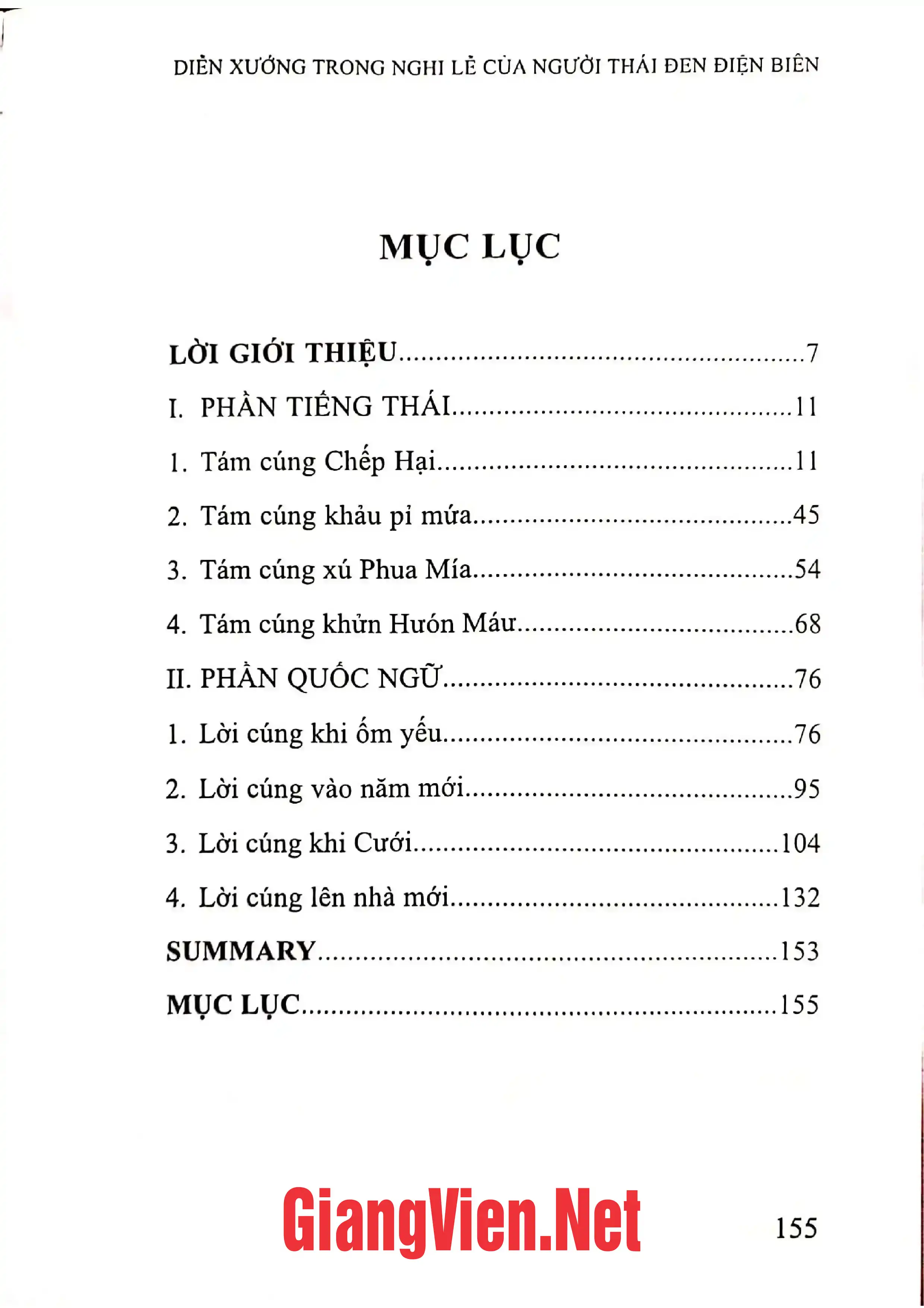 Trang bìa chính thức sách Diễn xướng trong nghi lễ của người Thái Đen Điện Biên