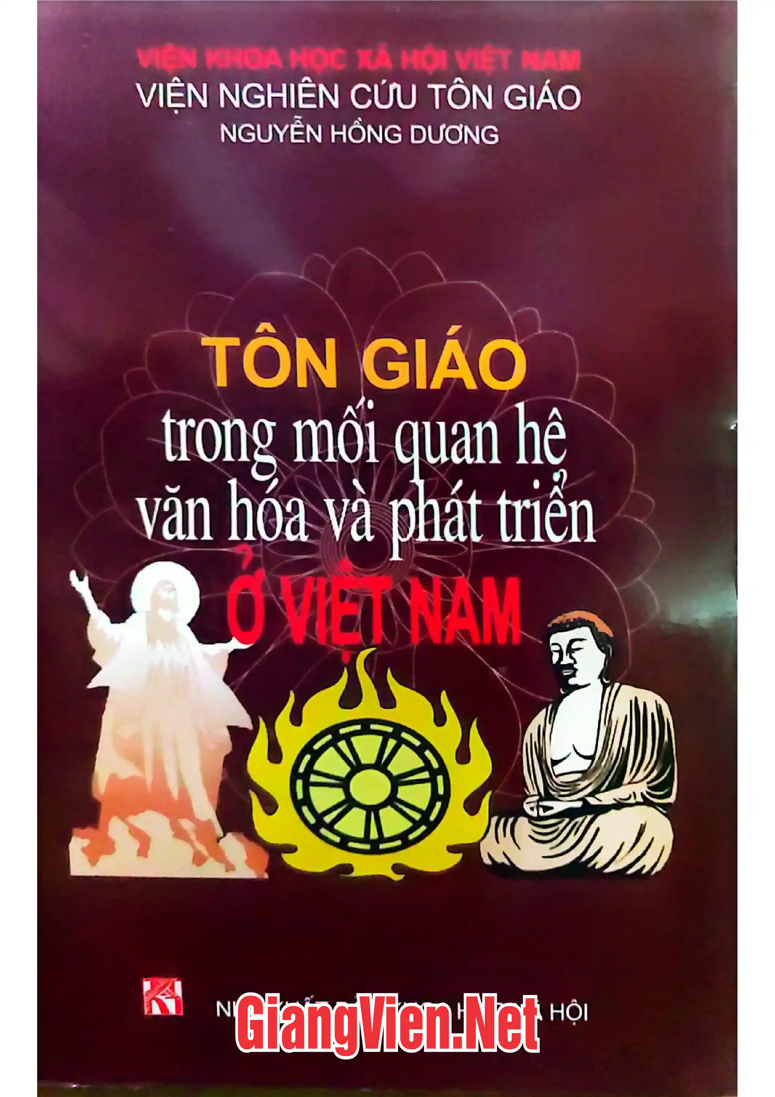 Ảnh bìa của Tôn giáo trong mối quan hệ văn hóa và phát triển ở Việt Nam