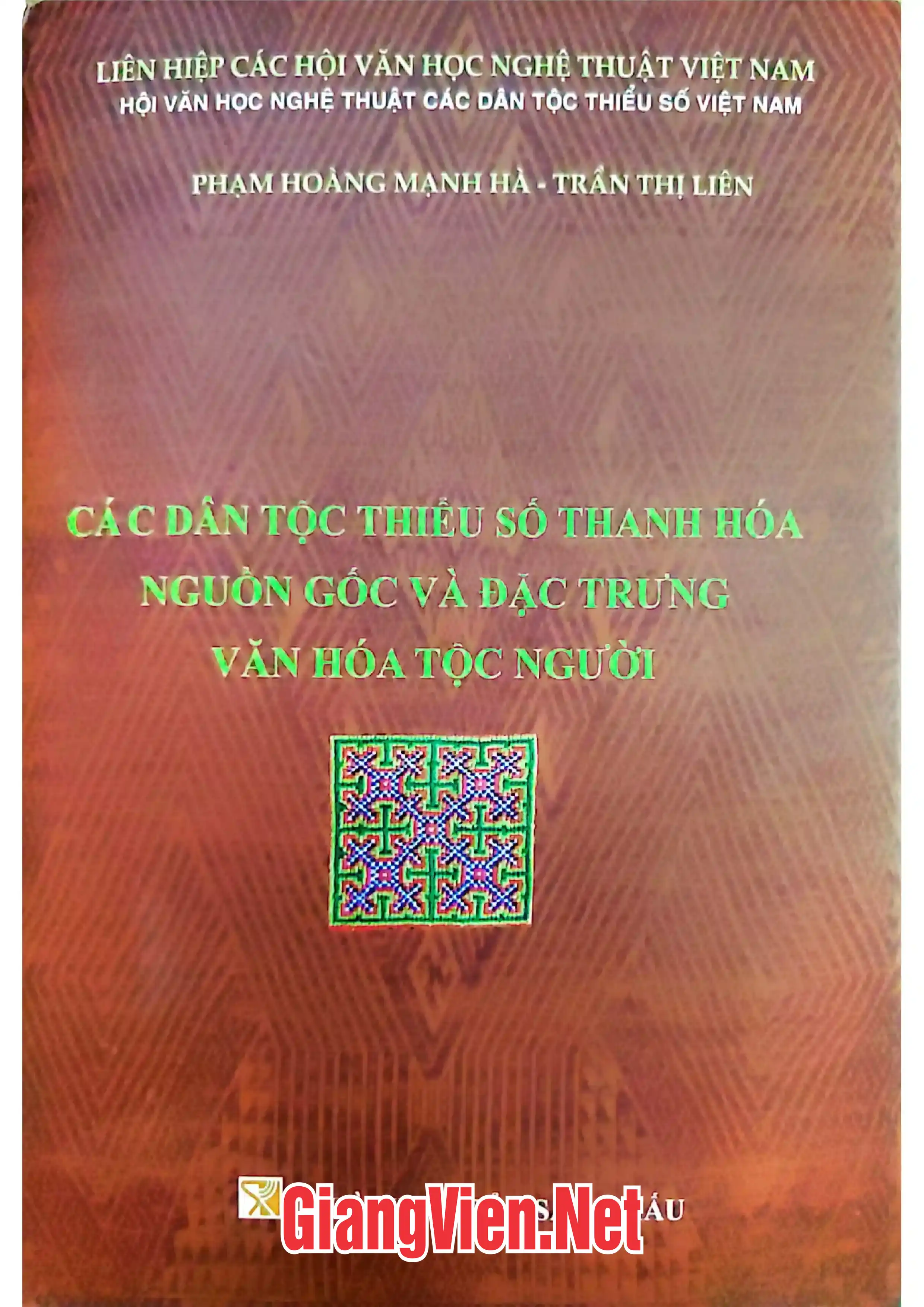 Ảnh bìa của Các dân tộc thiểu số Thanh Hóa nguồn gốc và đặc trưng văn hóa tộc người