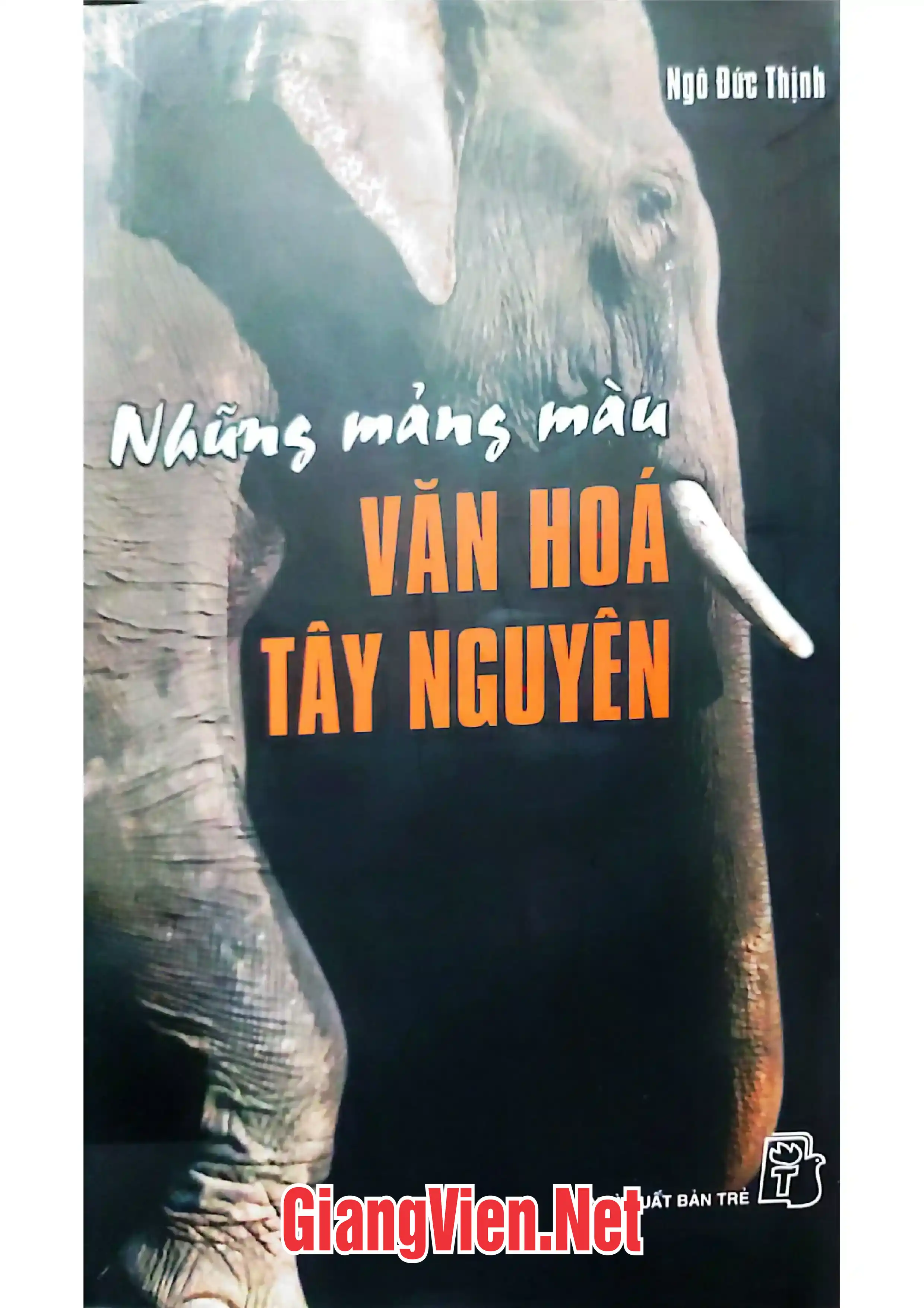 Ảnh bìa của Những mảng màu văn hóa Tây Nguyên