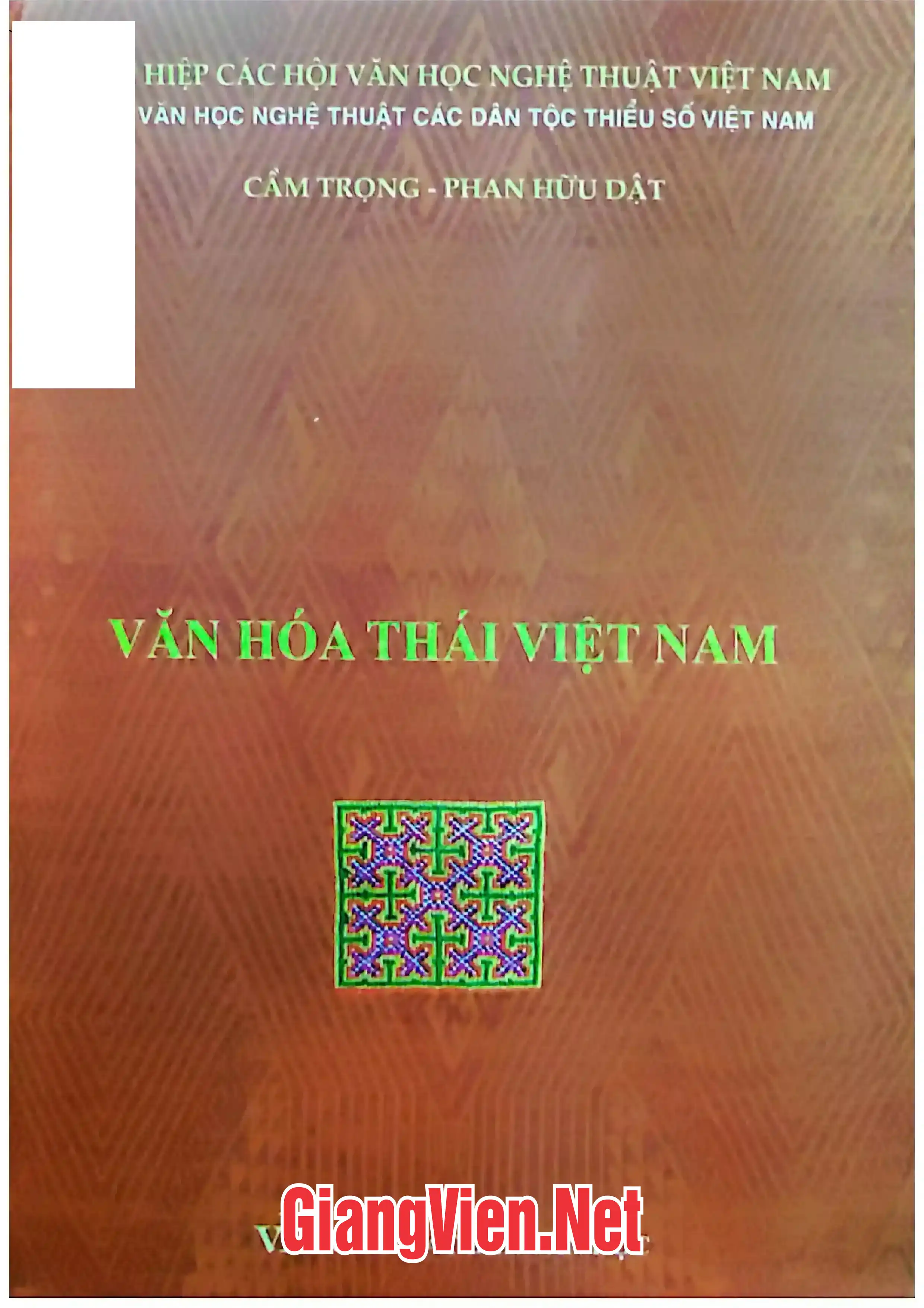 Ảnh bìa của Văn hóa Thái Việt Nam