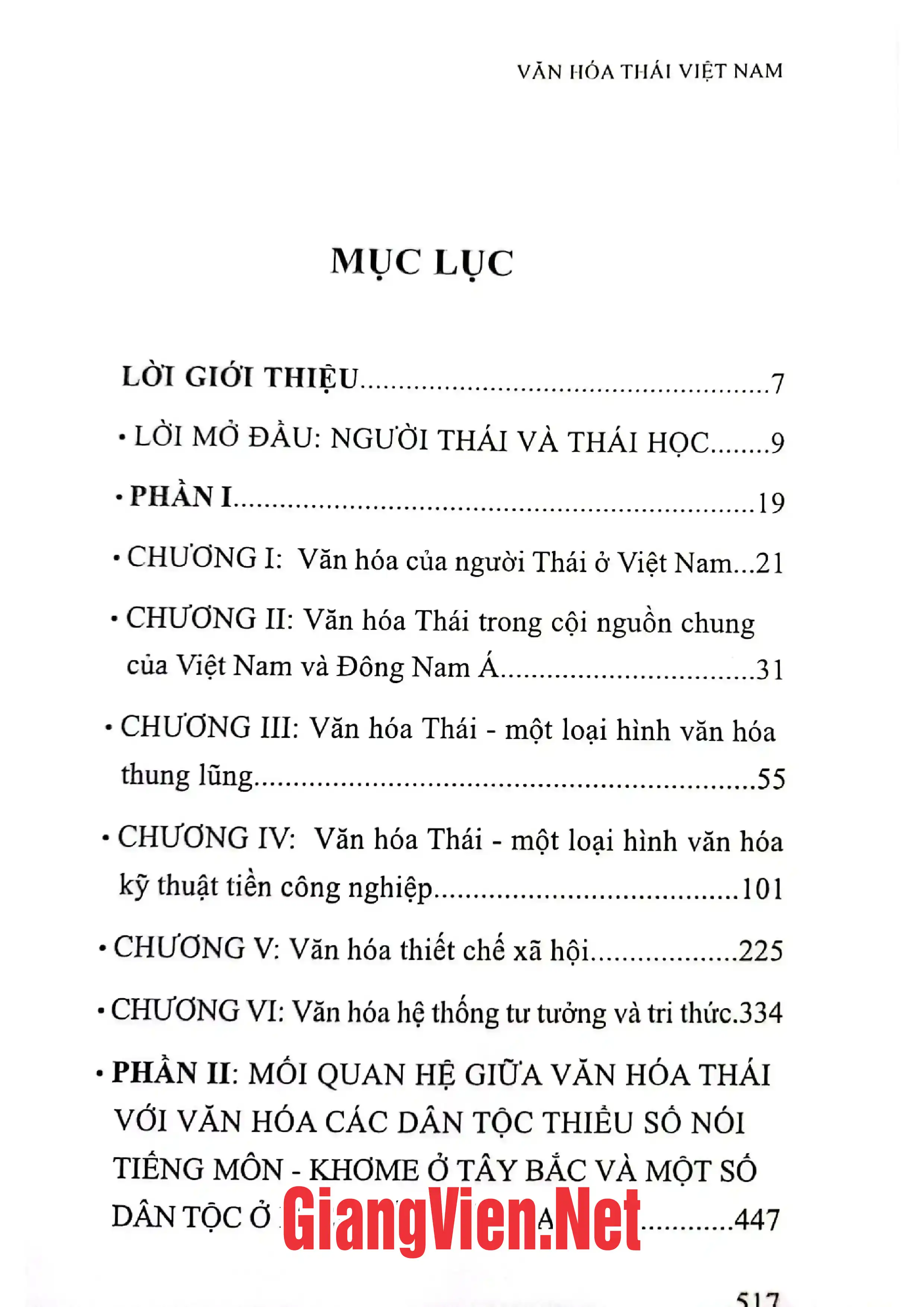 Trang bìa chính thức sách Văn hóa Thái Việt Nam
