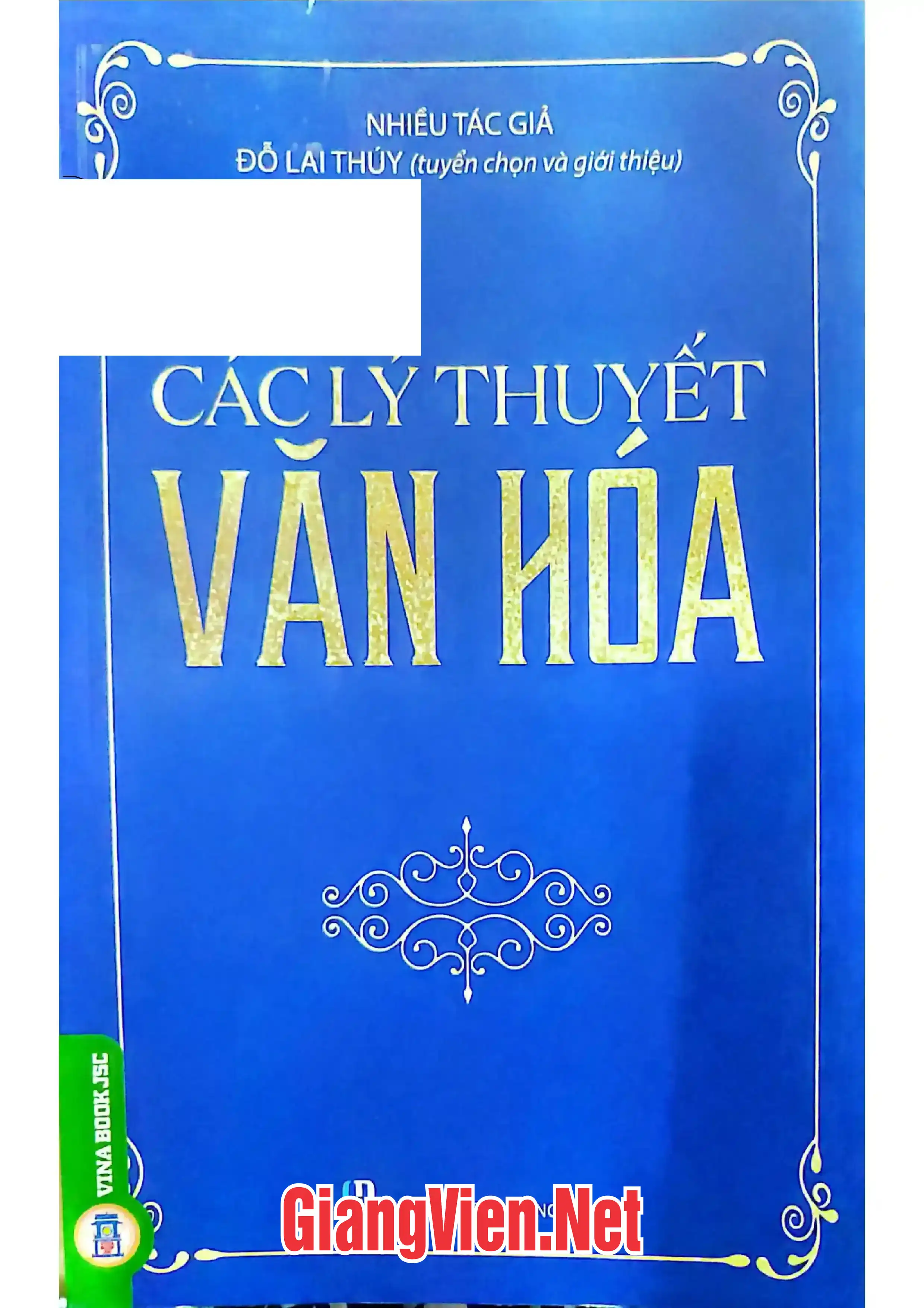 Ảnh bìa của Các lý thuyết văn hóa