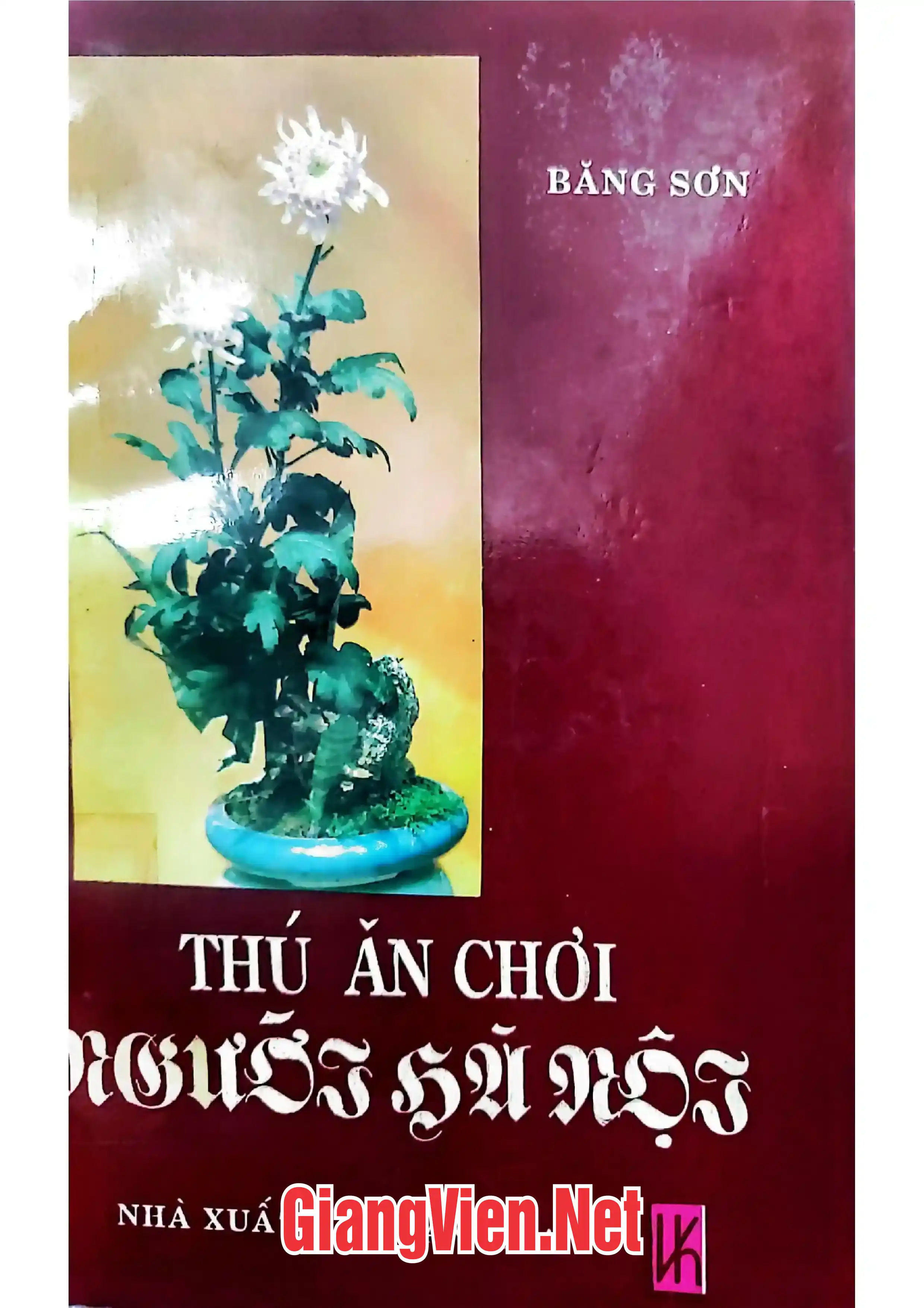 Ảnh bìa của Thú ăn chơi người Hà Nội