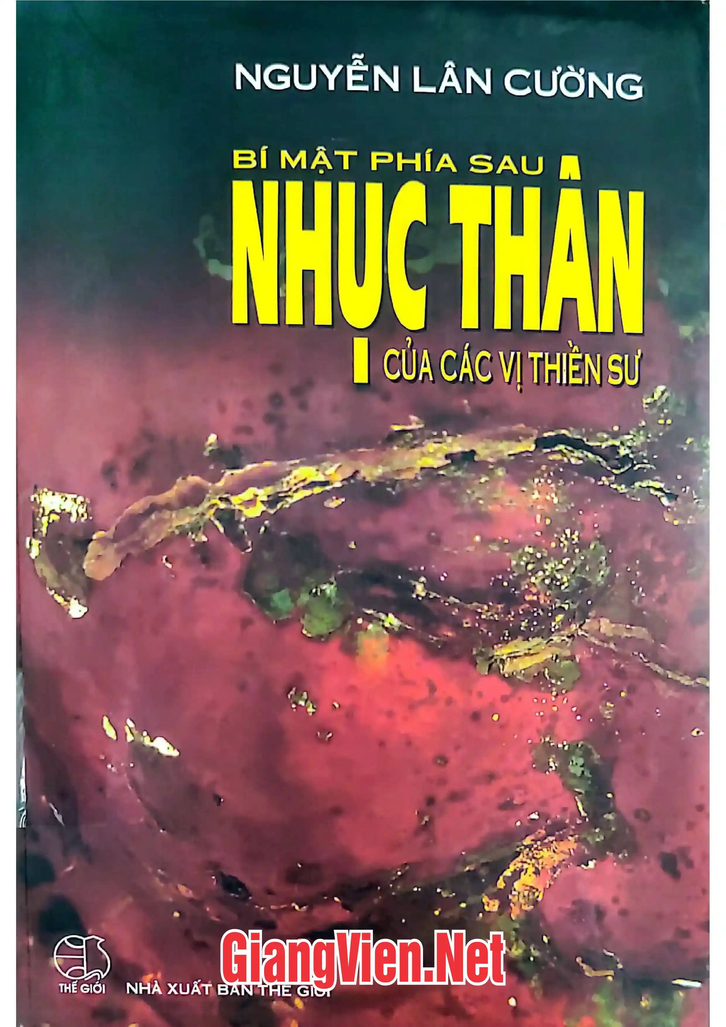 Ảnh bìa của Bí mật phía sau nhục thân của các vị thiền sư